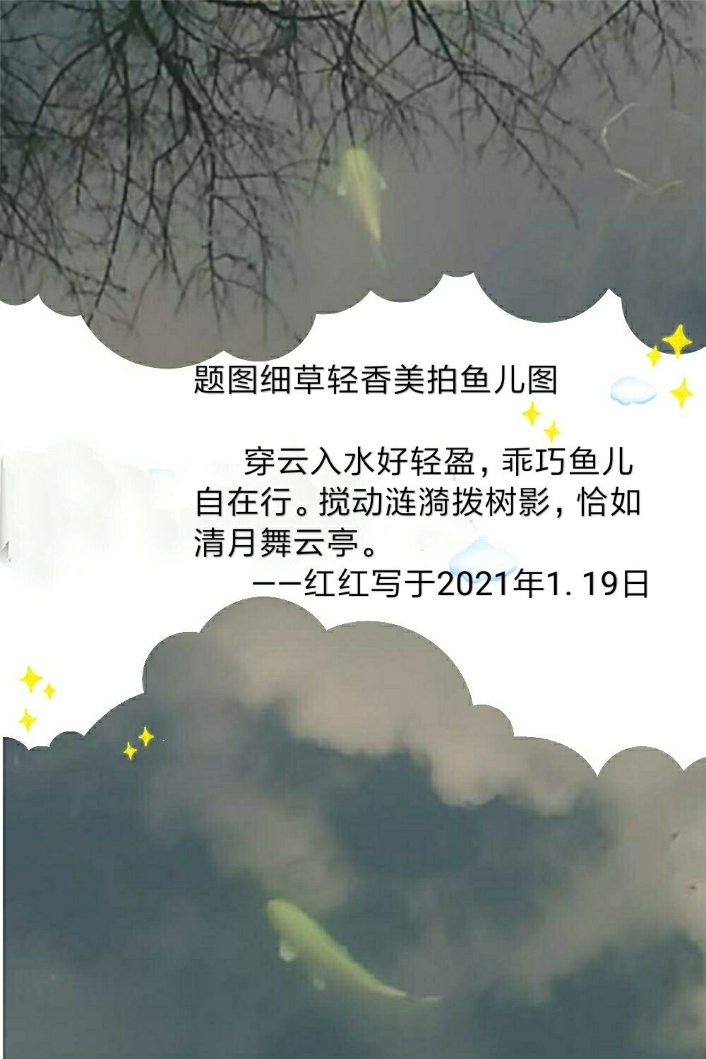 00E807620A3CBBD23A31E5E639A2AABA.jpg