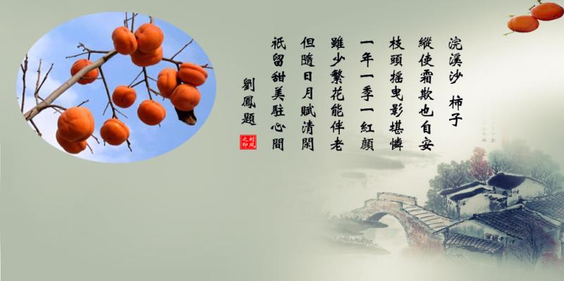 e880c6a0c26dfea0d3c1dba0afb1ebee.jpg