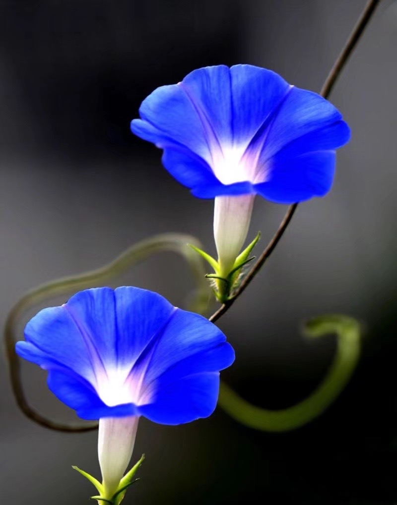 2B653101-0054-44BD-8A16-28DF463B6E11.jpeg