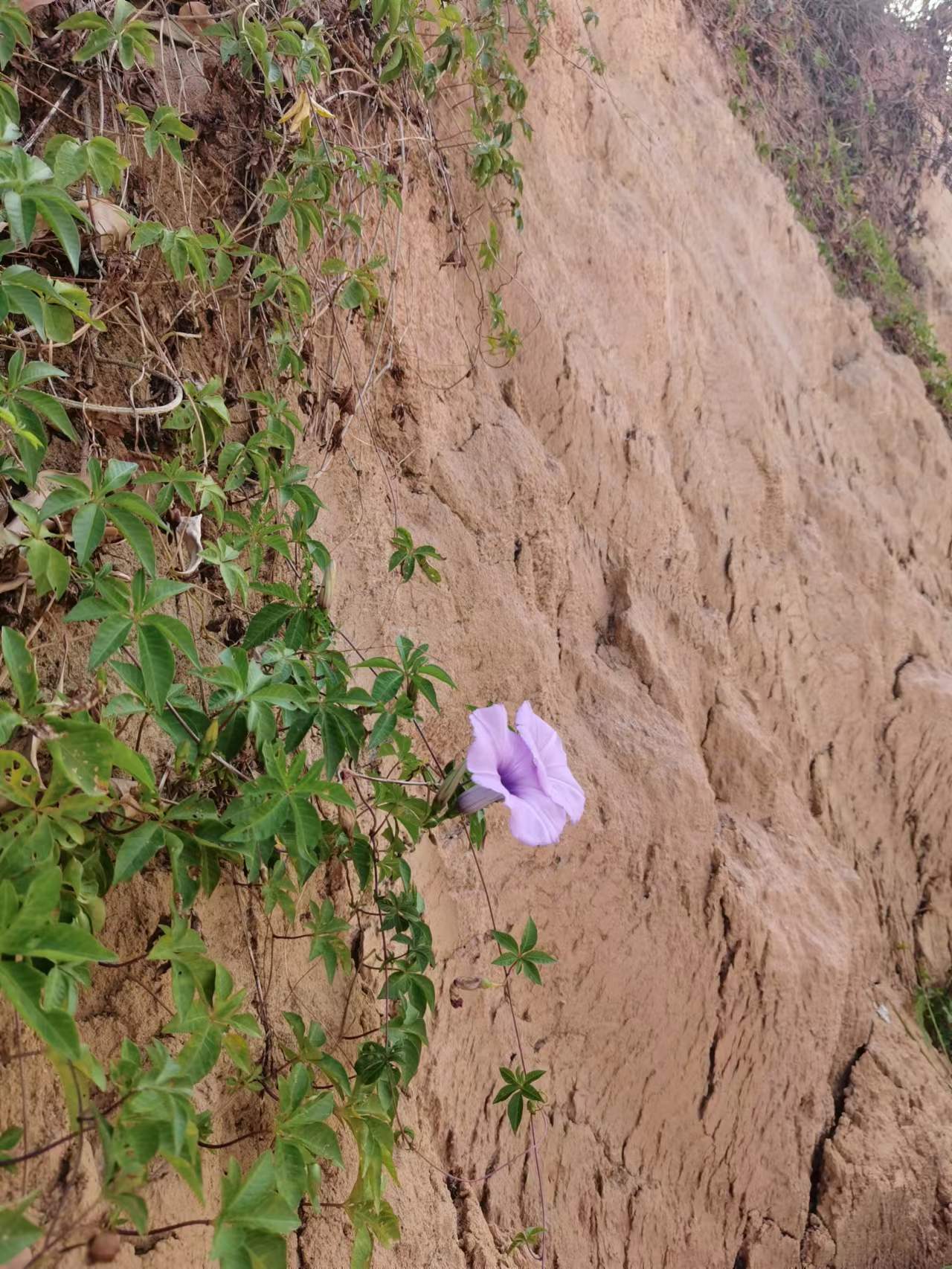 ΢��ͼƬ_20221027123858.jpg
