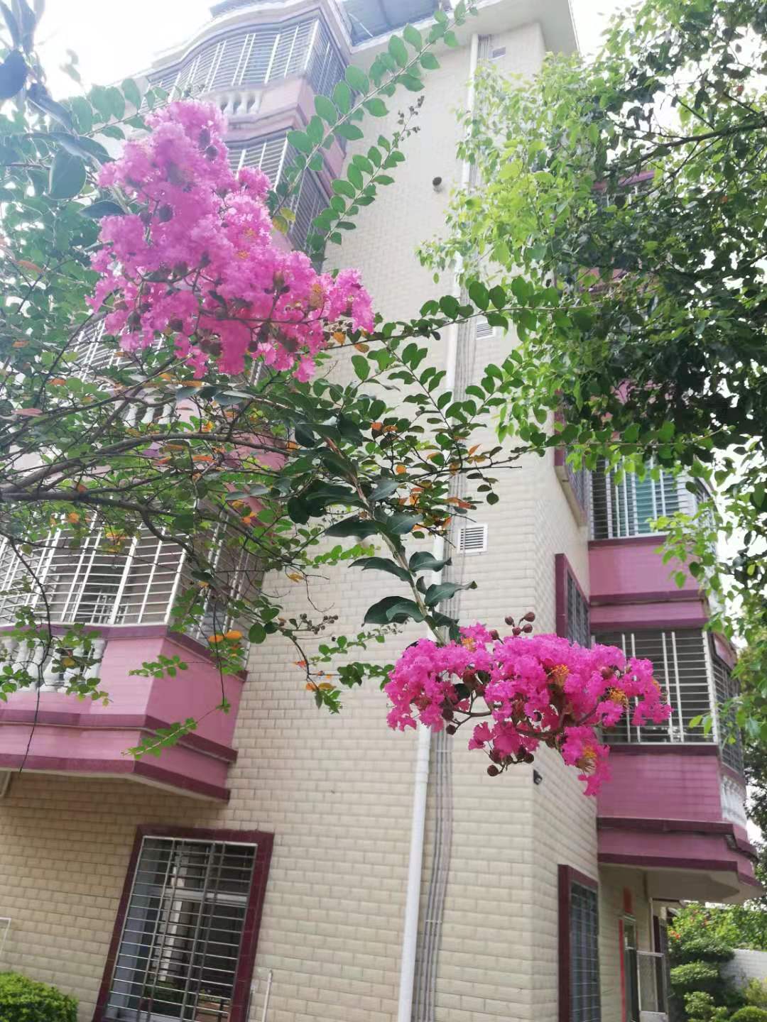 ΢��ͼƬ_20190717091119.jpg