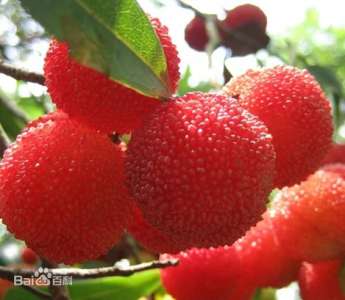 114826ejbsl2spnep9kkp6.jpg.thumb.jpg