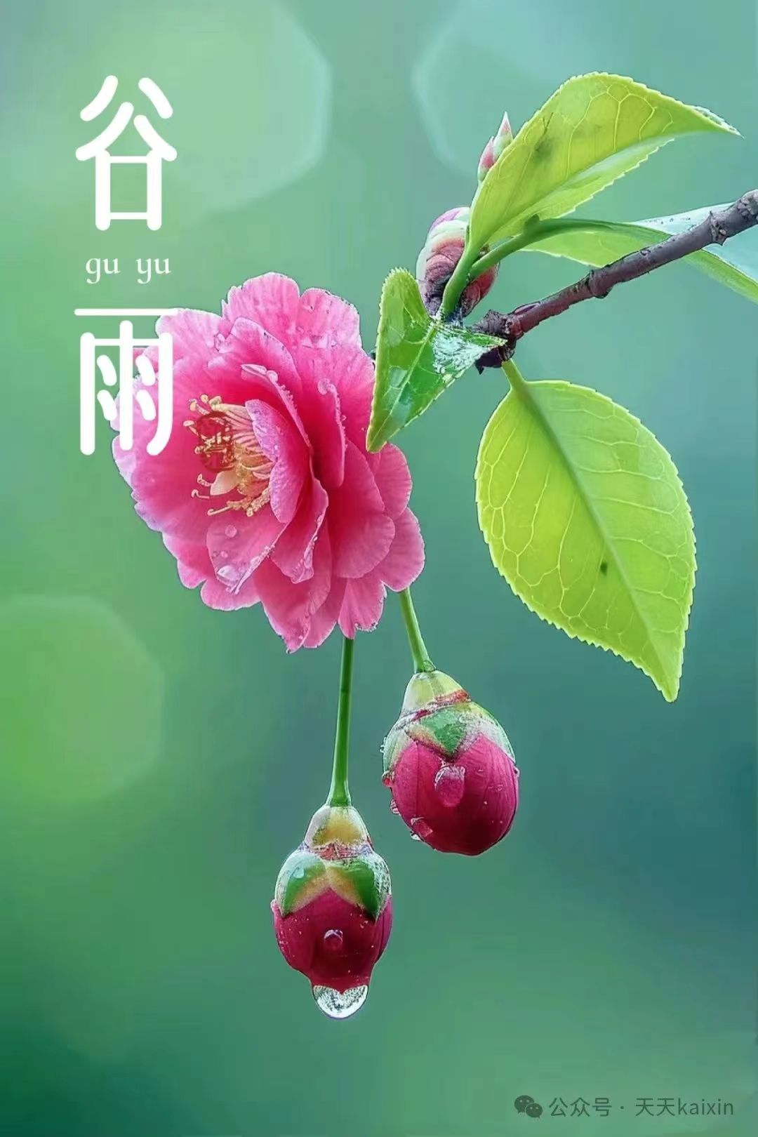 ΢��ͼƬ_20240419065527.jpg