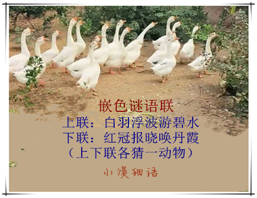 164819oeuh6tqro6d6hzjy.jpg